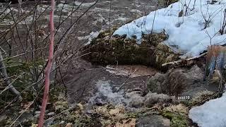 Raw Footage Of Exiting End Of Culvert Being Unclogged