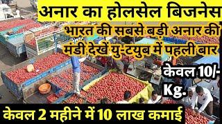 अनार का होलसेल बिज़नेस करें, 2 महीने में 10 लाख कमाये | Pomegranate wholesale business ideas |