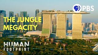 Singapore: Designing a Megacity in Harmony with Nature 