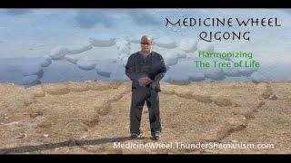 Medicine Wheel Qigong instructional DVD