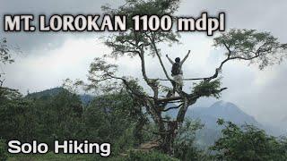 Kesunyian di tengah rintik HUJAN #Mt. Lorokan 1100mdpl (solo hiking)