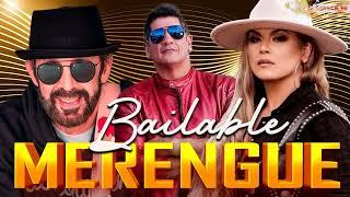 MERENGUE MIX 2024 | THE BEST OF MERENGUE  EDDY HERRERA, OLGA TAÑON, HNOS ROSARIO, JUAN LUIS GUERRA