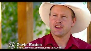 Bar 10 Ranch - Grand Canyon