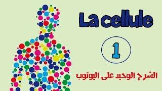 la cellule/الخلية (le premier épisode de l'anatomie )