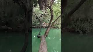 hermoso paisaje en Orlando Florida video 2