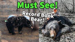 Kid Shoots RECORD BOOK Bear! (blast from the past 2020)