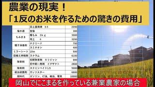 【田んぼ1反にかかる経費】1年間の収支をだして、適正価格について考えました。