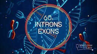 Genetics in 60 seconds: Introns and Exons