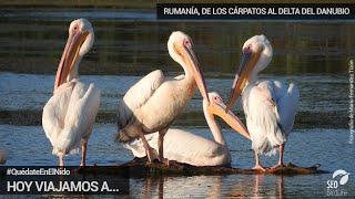 Hoy viajamos a... Rumanía, de los Cárpatos al Delta del Danubio