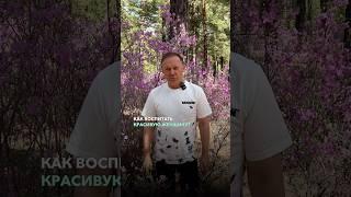 Как воспитать красивую женщину? #психология #психология