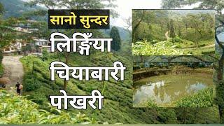 Pokhari (Pond) a Famous One | Lingia Tea Estate in Darjeeling Hills | Fish | Travel Vlog USVLOG