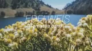 EDELWEIS (lagu pendaki)