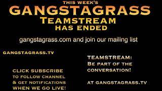 Back from Tour - Watch some scenes from the Gangstagrass shows!