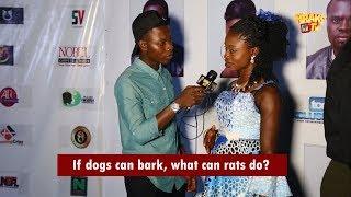 If Dogs Can Bark, What Can Rats Do? | KraksTV Funny Viral Vox Pop