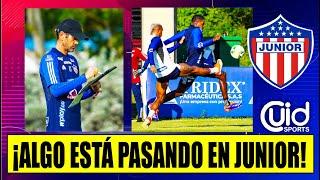 ¡OJO A LO QUE ESTÁ PASANDO EN JUNIOR! EL TIBURÓN BUSCA EL APOYO NECESARIO PARA LIGA  Y LIBERTADORES