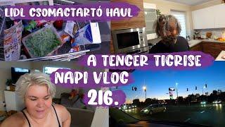 Napi vlog, fogselymet evett a matyka...Lidl haul gyorsba..és a tenger tigrise 216.rész