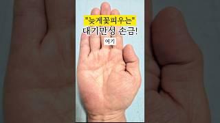 나이가들수록 빛을발하는손금! #손금 #손금보기 #손금보는법#재물운