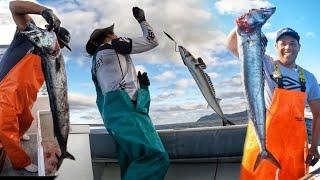 Snoek fishing in Buffels Bay, Cape Point