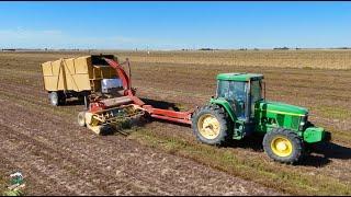 Idaho Mint Harvest | Chopping & Processing Mint Oil