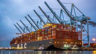 Containership MSC Isabella Sets New World Record at the Port of Los Angeles