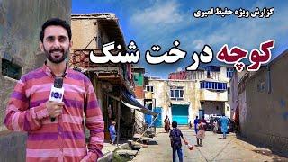 Darakht Sheng street in Hafiz Amiri Report / کوچه درخت شنگ در گزارش حفیظ امیری