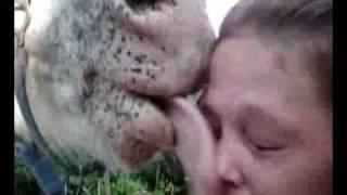 Appaloosa Horse Kisses