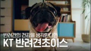 우리집 막내  댕댕이의 건강을 생각한다면? [kt 반려견 초이스]