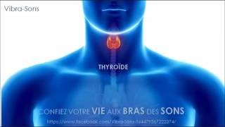 THYROÏDE - GORGE- 432 Hz