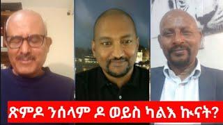 ጽምዶ ህግደፍን ህውሓትን ንሰላም ዶ ንኲናት? PFDJ and TPLF  alliance, Mr. Berhane G.Seselassie and  Dr.Tesfa  Mehari