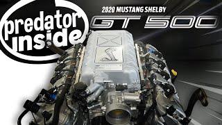 Inside Intel on the World's First 2020 GT500 Predator Swapped Manual S550 GT