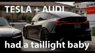 Tesla Model Y Full-Length Taillight Mod | Ultimate Customization Guide & Impressions