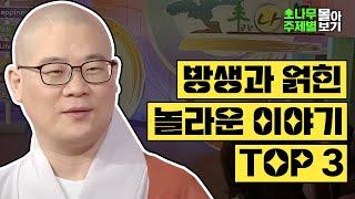 방생과 얽힌 놀라운 이야기 TOP3 [광우스님 소나무 주제별 몰아보기]