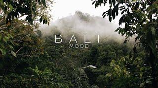 Best tropical Bali mood music  | Best for Relax and Chill 