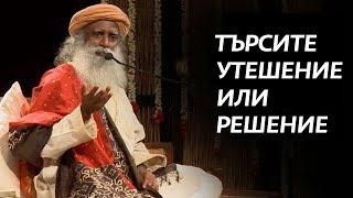 Търсите Утешение или Решение | Садгуру на Български