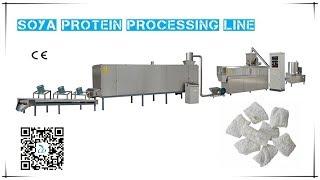 Soya Protein Machine