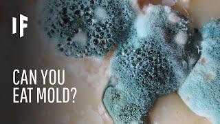 What Happens If You Eat Mold?