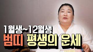 (용한점집)태어난 월로 보는 '범띠' 평생의 운세 총 정리[1월생~12월생]