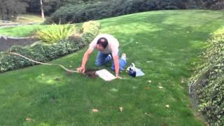 The Redneck Rodenator