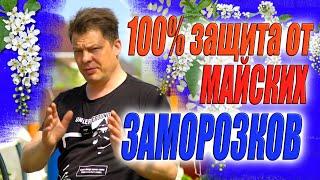 Самая эффективная защита от заморозка