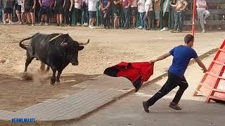 BRAVURA DE TORO "DOMÍNGUEZ  CAMACHO" 25-5-2024 ALBORAYA