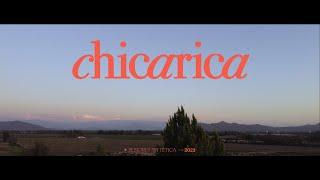 chicarica - Live Performance | Sintética Sesiones