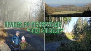 Spacer po rezerwacie "Buki Sudeckie"