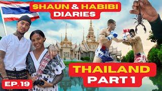 SHAUN & HABIBI episode 19