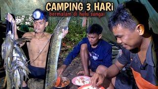 3 Hari menjelajah hulu sungai hutan rimba belantara, dapat Ikan SIDAT tuo