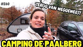 #260 TERUG VAN WEGGEWEEST I Camping de Paalberg Ermelo