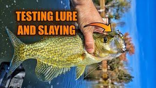 Slaying Crappies While Testing a Minnow Bait