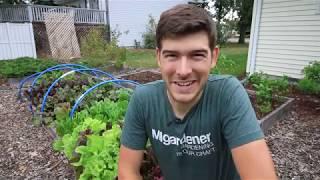 3 Ways To Make Easy Side Money From Your Garden