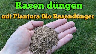 Rasen düngen mit Plantura Bio Rasendünger im Frühjahr