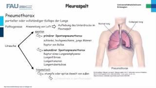 Chirurgie ─ Pleuraspalt Teil 2/2