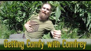 Getting Comfy with Comfrey | Harvesting and Uses with Yarrow Willard| Harmonic Arts